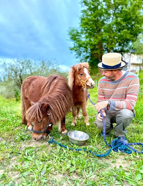 Florence: Countryside Tour with Wine Tasting & Pasta Class - Vineyard walk, olive trees, and farm life with a guide