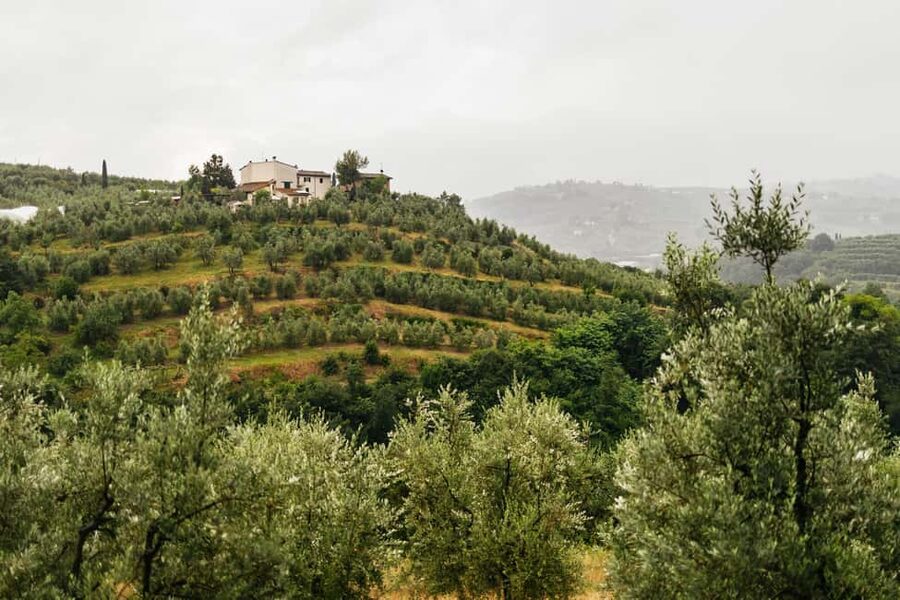 Florence: Countryside Vintage Fiat 500 Driving Tour - Getting comfortable with a stick shift, and why the guide’s radio matters