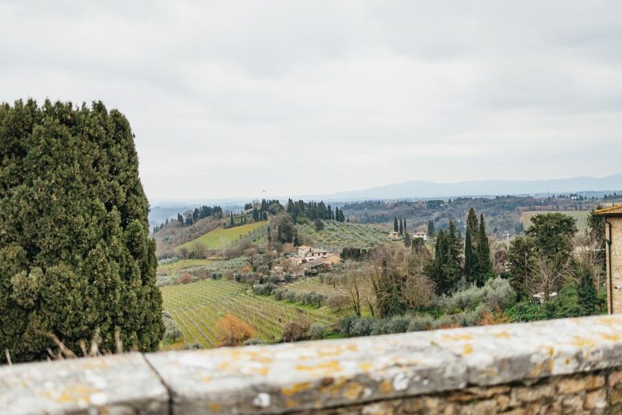 Florence: Pisa, Siena, San Gimignano, and Chianti Experience - Choosing Between Options: Transfer Only vs the Full Experience