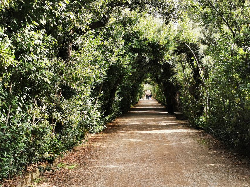 Florence: Pitti Palace, Boboli Garden, Palatine Gallery Tour - Why this tour works as one connected Medici story