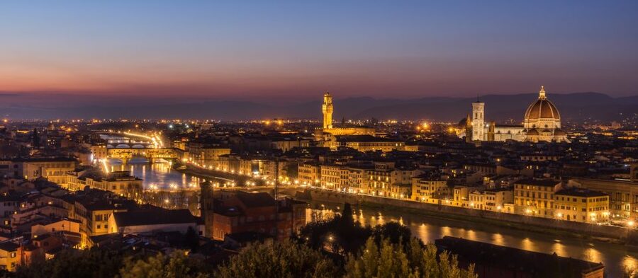 Florence: Private Customized Walking Tour with a Local Guide - Public Transportation and Taxi: Using Time Wisely