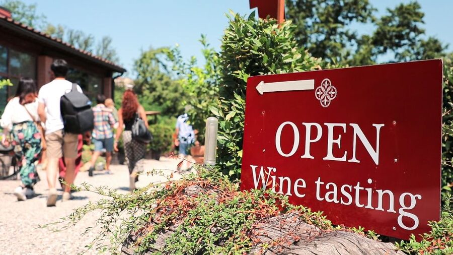 Florence: S. Gimignano, Siena, Chianti & Wine Tasting Lunch - How This Day Trip Gets You Tuscany Fast, Without Stress