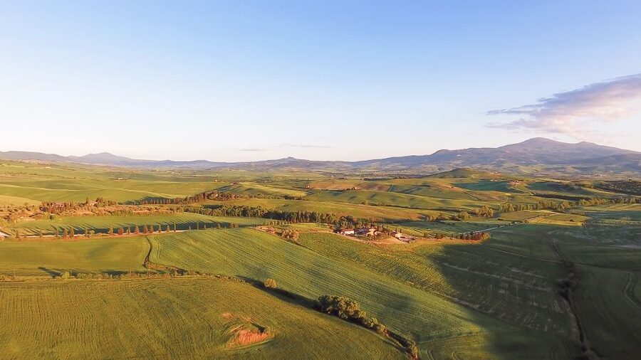 Florence: S. Gimignano, Siena, Chianti & Wine Tasting Lunch - San Gimignano: Towers, Frescoes, and Real Time to Wander