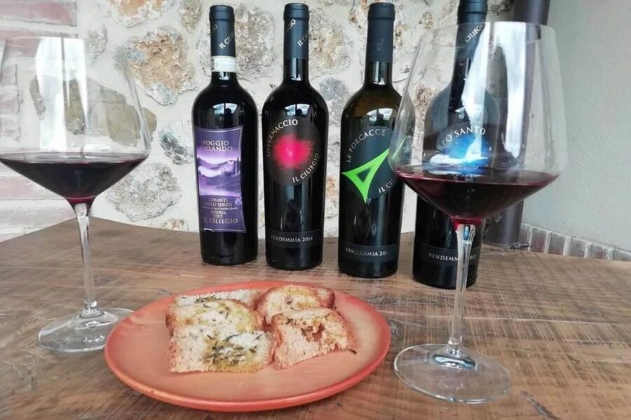 Florence: Siena & San Gimignano Day Trip with Lunch & Wine - Who This Day Trip Is Best For (And Who Might Prefer Something Else)