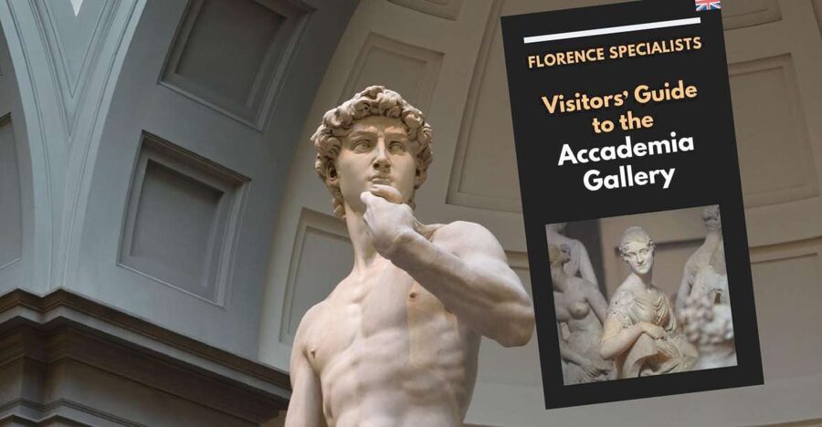 Florence: Timed Entry Ticket to Michelangelo's David & eBook - Luggage Storage and Practical Comfort