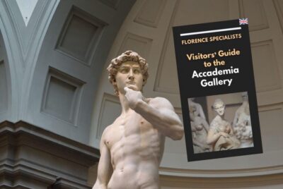 Timed Entry Ticket to Michelangelo’s David & eBook