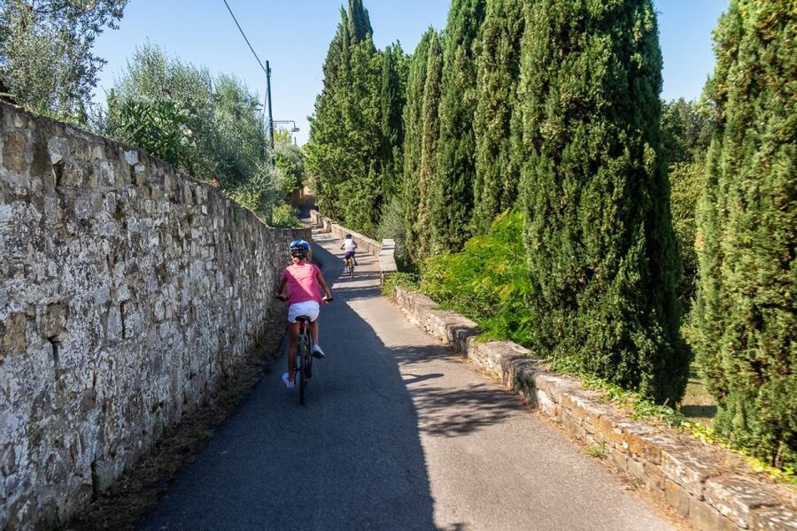 Florence: Tuscany Bike Tour with Wine & Olive Oil - Florence to Tuscany by bike, minus the crowd pressure