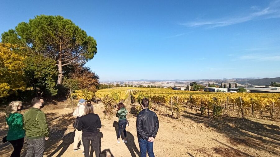 Florence: Valdorcia Wine, Brunello Montalcino, Montepulciano - Should you book this Florence to Val d’Orcia wine day trip?