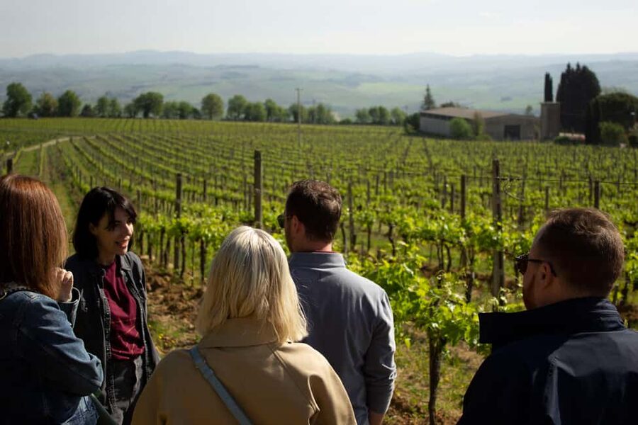 Florence: Valdorcia Wine, Brunello Montalcino, Montepulciano - Montalcino: Brunello di Montalcino at a family winery, plus how to taste properly