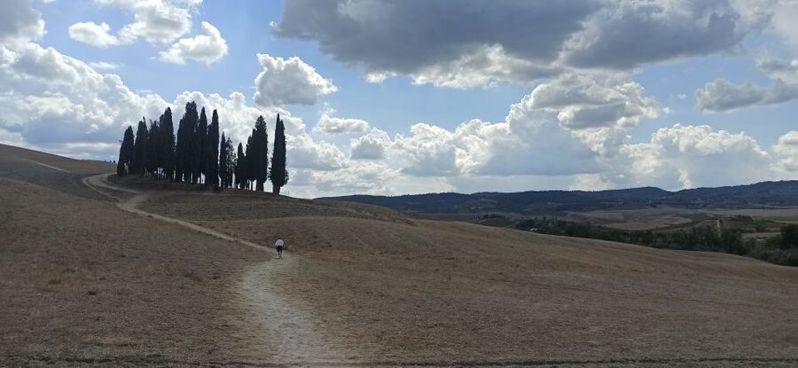 Florence: Valdorcia Wine, Brunello Montalcino, Montepulciano - Montepulciano: Vino Nobile, olive oil pairings, and the underground city tour