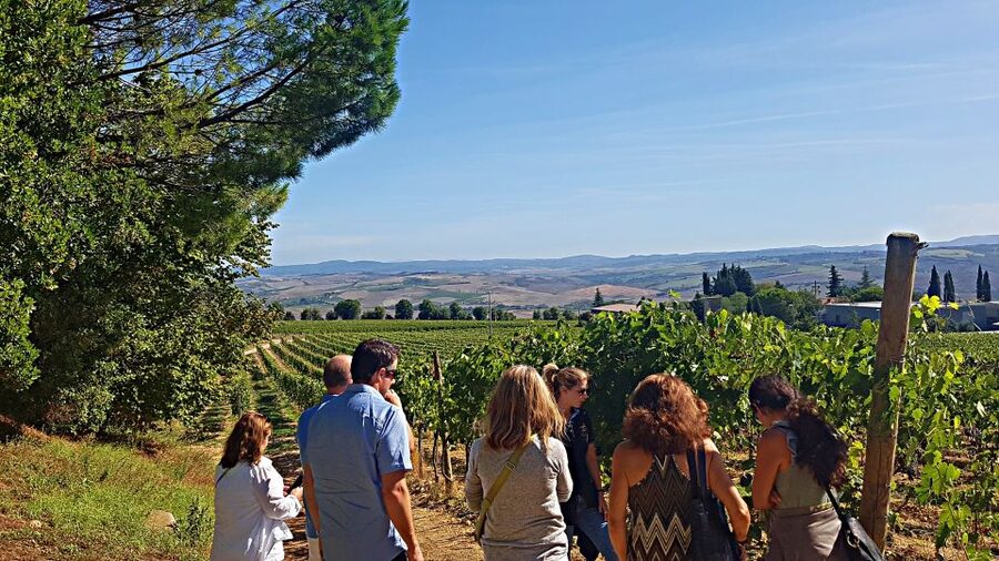 Florence: Valdorcia Wine, Brunello Montalcino, Montepulciano - Who this Val d’Orcia wine day trip suits best