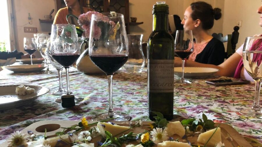 Frascati Wine Road from Rome: Tasting & Lunch - Key highlights you will actually care about