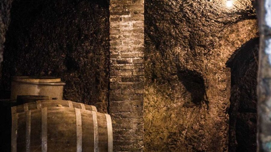 Frascati Wine Road from Rome: Tasting & Lunch - Historic Frascati: shop stops, porchetta bites, and jug wine
