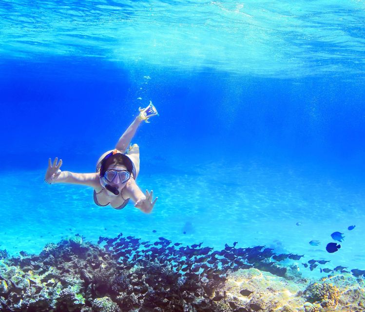 From Amalfi: Capri Island Boat Tour with Snorkeling & Drinks - Key highlights worth centering your day on