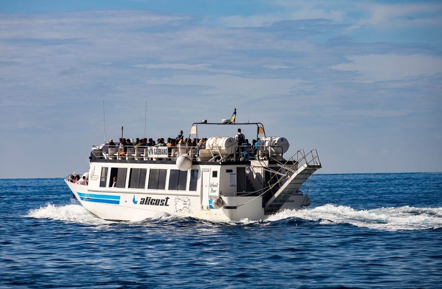 From Amalfi Coast: Capri and Anacapri Full-Day Guided Trip - Optional Monte Solaro Chairlift and the Blue Grotto Decision
