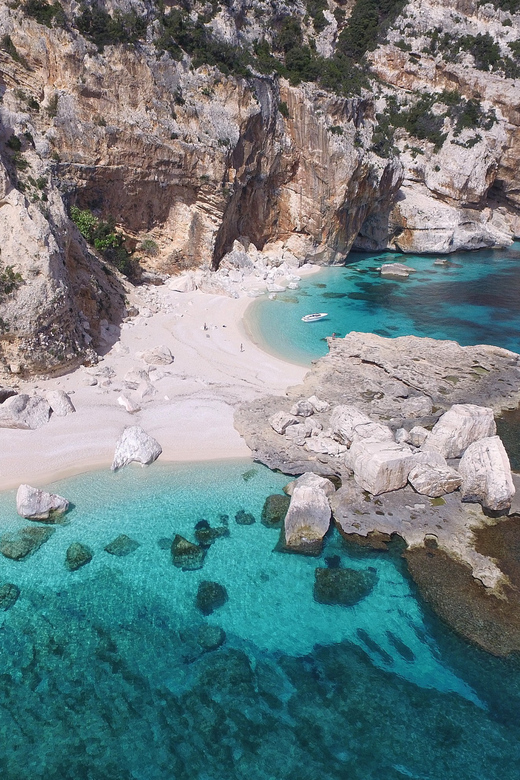 From Arbatax: Full-Day Guided Boat Tour of the Baunei Coast - Key things I think you’ll care about most