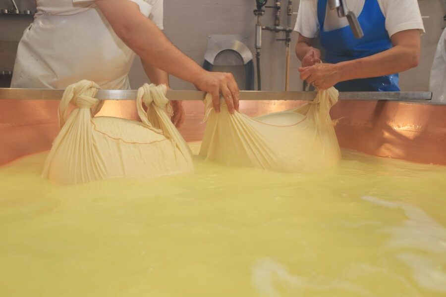 From Bologna: Parma Cheese & Ham Factory Tours and Tastings - From Bologna to Parma by train: the day trip setup