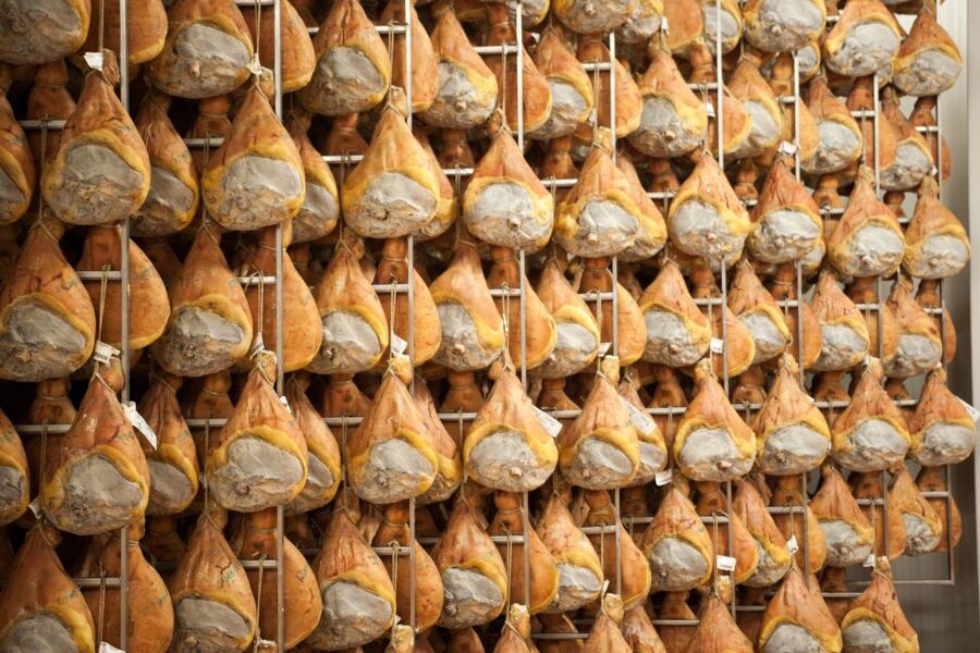 From Bologna: Parma Cheese & Ham Factory Tours and Tastings - Price and value for $178.99: what you truly get