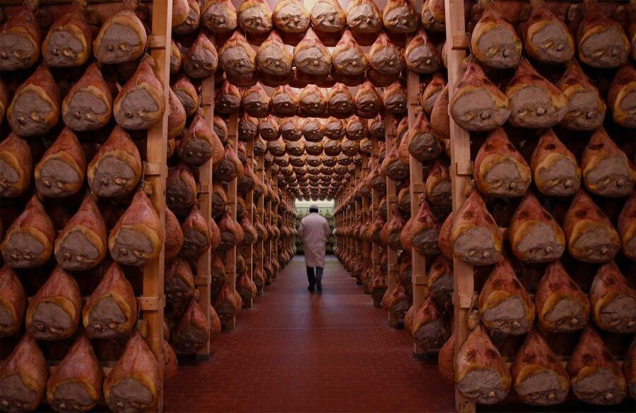 From Bologna: Parma Cheese & Ham Factory Tours and Tastings - Timing, pacing, and what to pack in your day bag