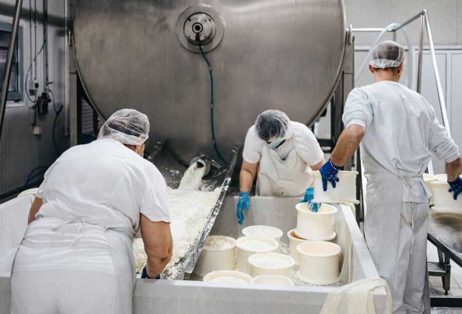 From Bologna: Parma Cheese & Ham Factory Tours and Tastings - Parmigiano Reggiano: from caldere cooking to the maturing warehouse