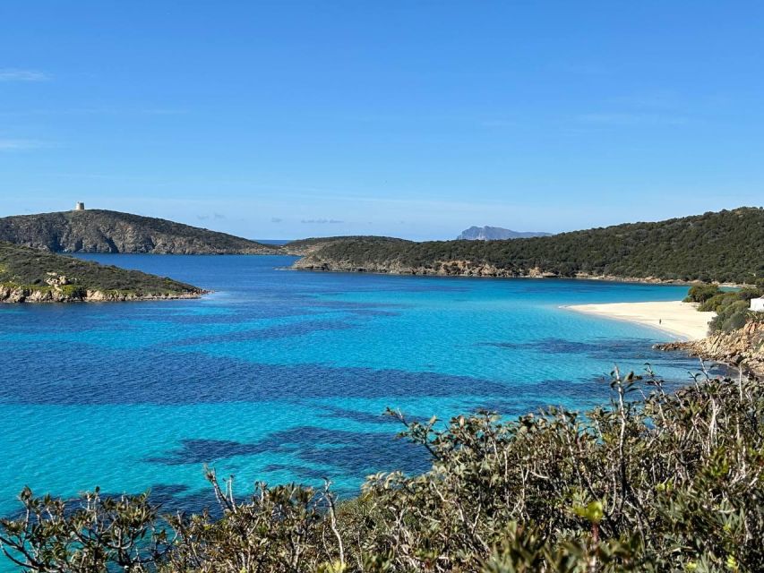 From Cagliari: Chia and Tuerredda Full-Day Beach Tour - The flamingo angle: Santa Gilla ponds and Capo Spartivento wildlife