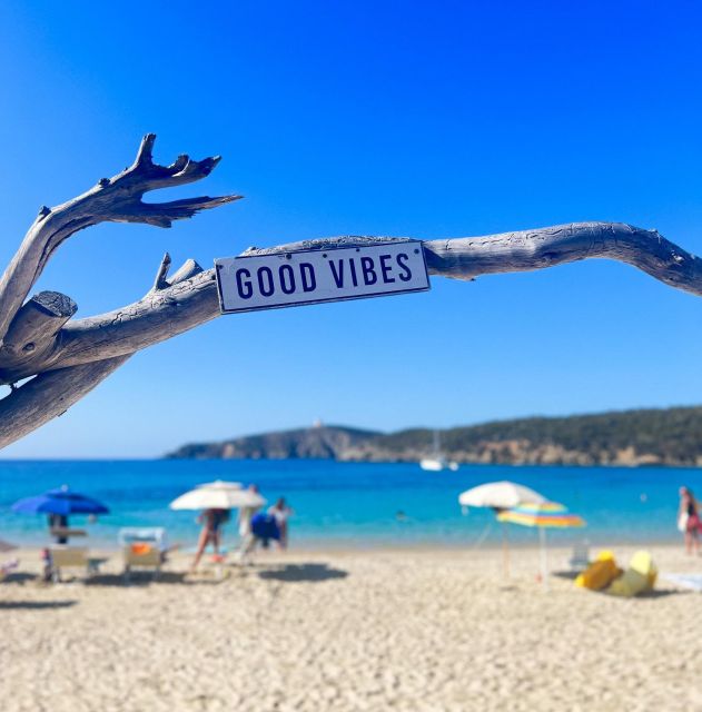 From Cagliari: Chia and Tuerredda Full-Day Beach Tour - The small-group van: comfort, clarity, and easier logistics