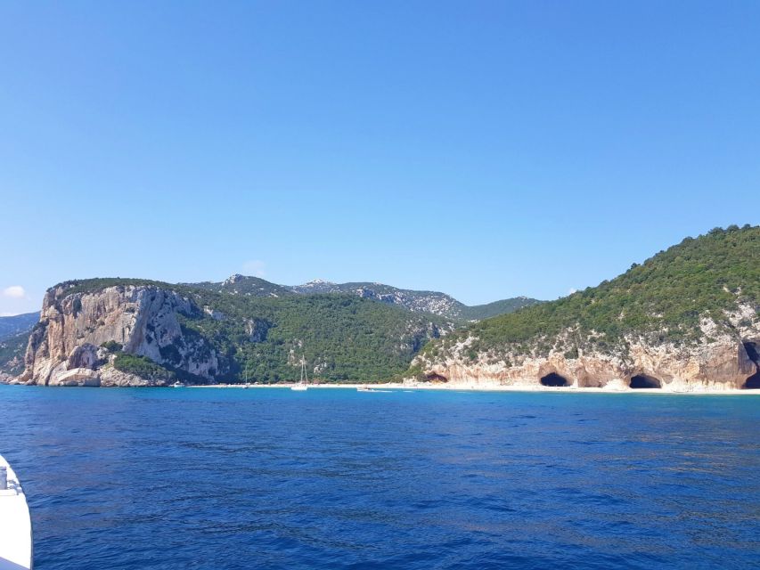 From Cala Gonone: Orosei Gulf Cruise with Stops - Grotta del Bue Marino: worth it, but timing matters