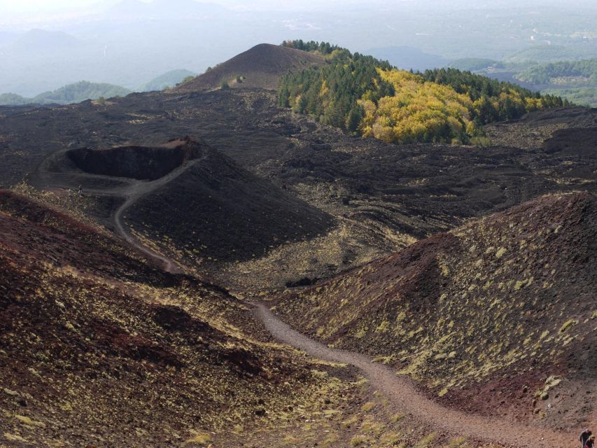 From Catania: Etna tour by Panoramic Bus - Bus Comfort, Weather, and the Not-So-Secret Tips