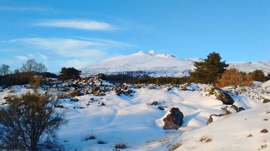 From Catania: Guided Tour of Mount Etna and Taormina - Guided Etna Walk: Craters and the Stories Behind Them