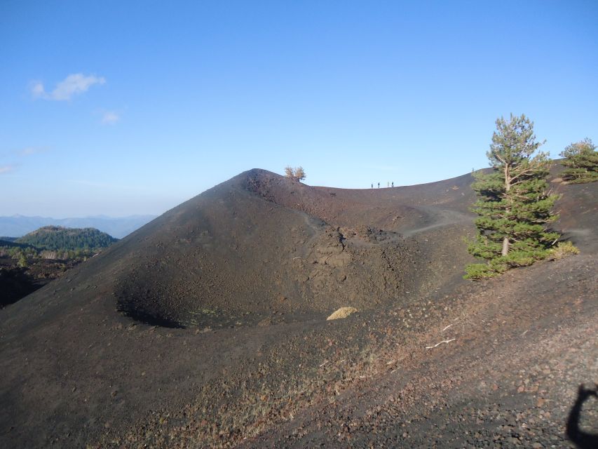 From Catania: Mount Etna Half-Day Tour and Wine Experience - Price and value: why this packed day can still feel worth it