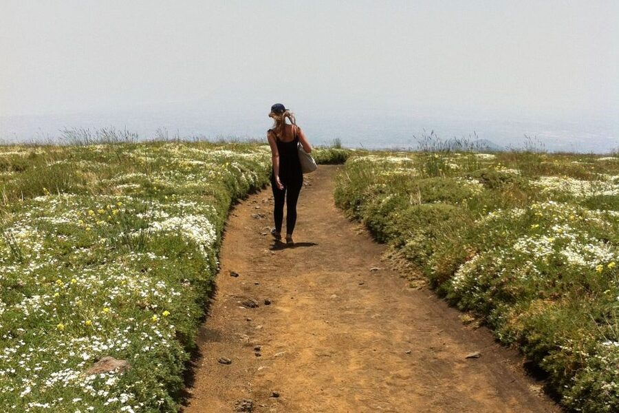 From Catania: Mount Etna Half-Day Tour and Wine Experience - Who this tour is best for, and who should skip it