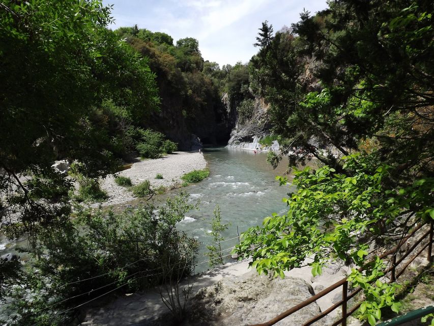 From Catania: Mt. Etna, Wine and Alcantara Tour - Who should book this tour, and who should skip it