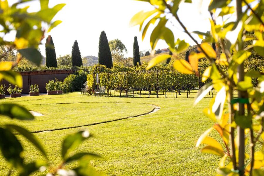 From Florence: Chianti Half-Day Afternoon Tour - Getting to Villa Costanza by tram, then finding your group