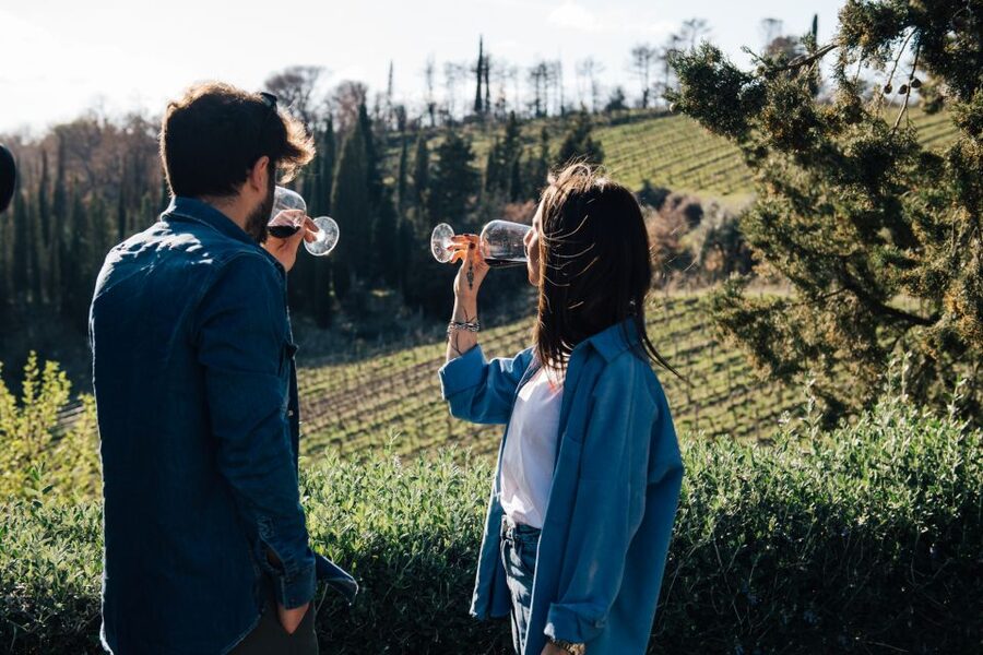 From Florence: Chianti Hills Half-Day Tour with Wine Tasting - From Santa Maria Novella to Chianti Hills, the bus ride is part of the show
