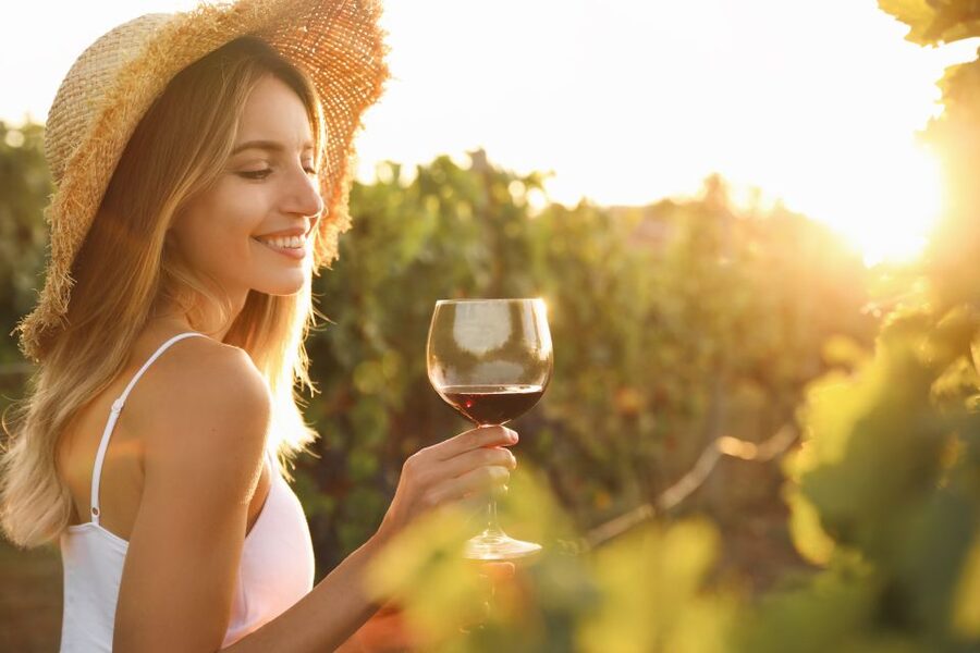 From Florence: Chianti Hills Half-Day Tour with Wine Tasting - Food pairing: cold cuts, cheeses, and seasonal local specialties