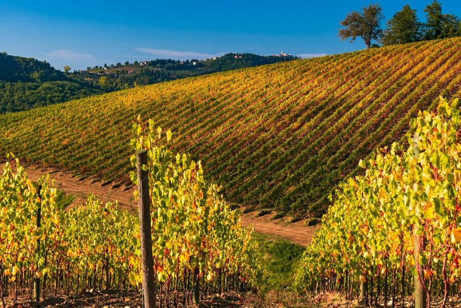 From Florence: Chianti Hills Half-Day Tour with Wine Tasting - Where the time goes: bus time versus tasting time, and photo breaks