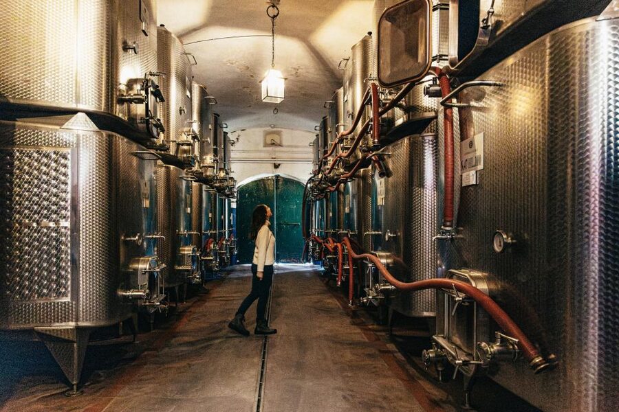 From Florence: Chianti Wine and Food Tasting Safari - Should you book it?