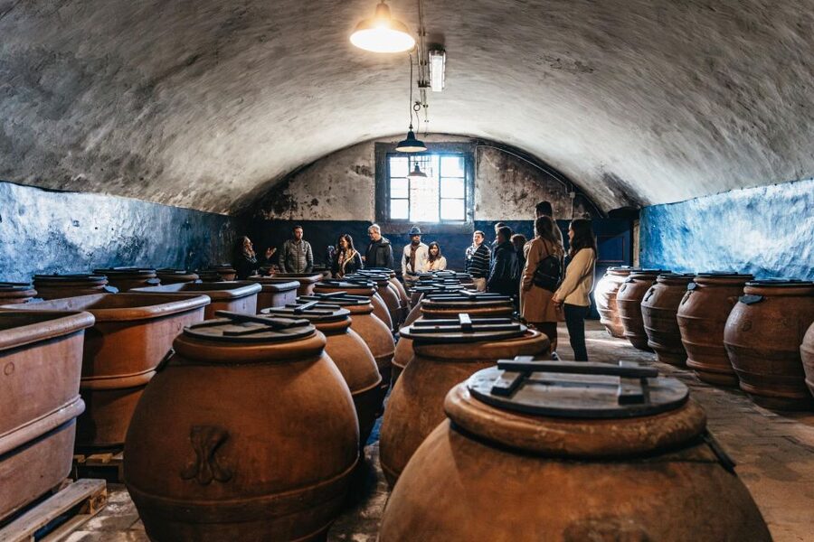 From Florence: Chianti Wine and Food Tasting Safari - The drive through Chianti hills, cypress trees, and working farms
