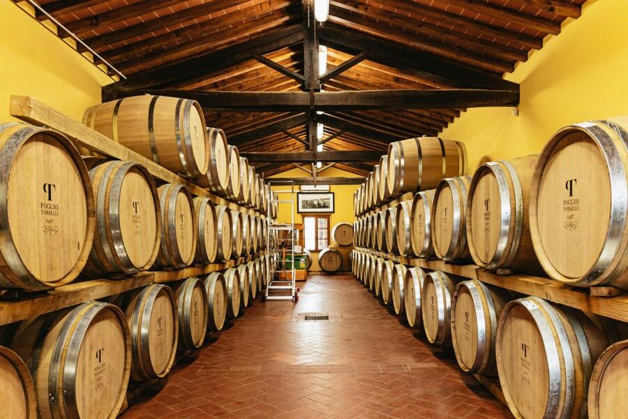 From Florence: Chianti Wine and Food Tasting Safari - Second estate: Chianti Classico vines, tradition meeting modern practice