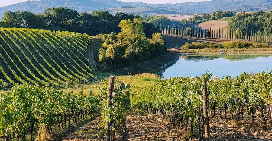 From Florence: Chianti Wine Tastings at Sunset Day Trip - Why Chianti at Sunset Works From Florence