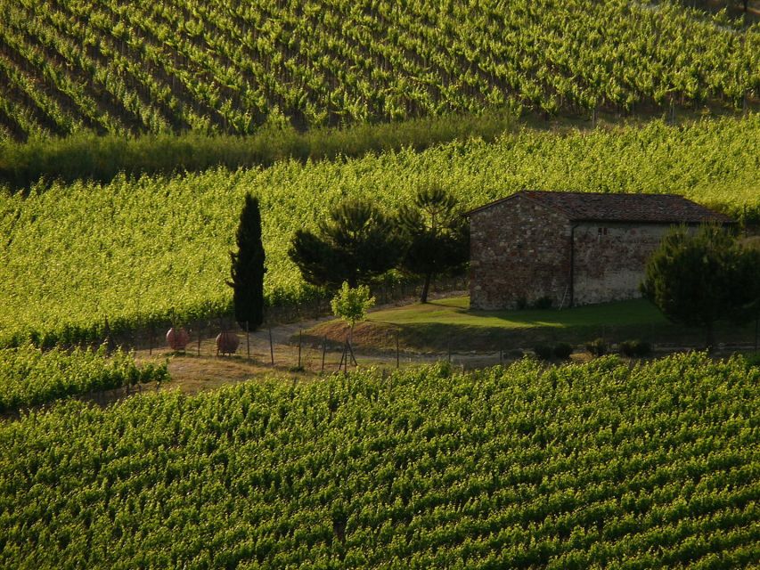 From Florence: Chianti Wine Tastings at Sunset Day Trip - Meeting Point, Ride Comfort, and the Small-Group Advantage