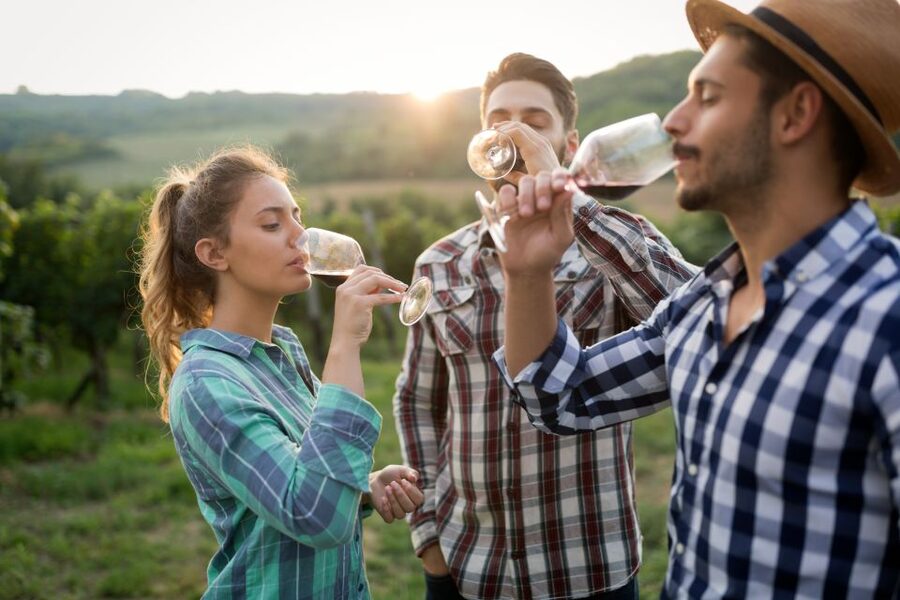 From Florence: Chianti Wine Tour with Tasting - Stop Two at the Second Estate: Olive Trees, More Tastings, and Time to Wander