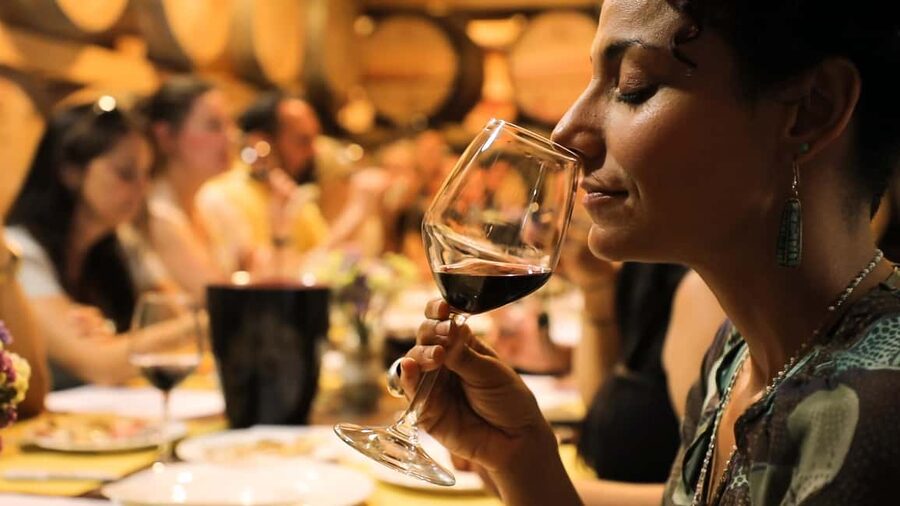 From Florence: Chianti Wine Tour with Tastings - Price and Value for 5 Hours in Chianti