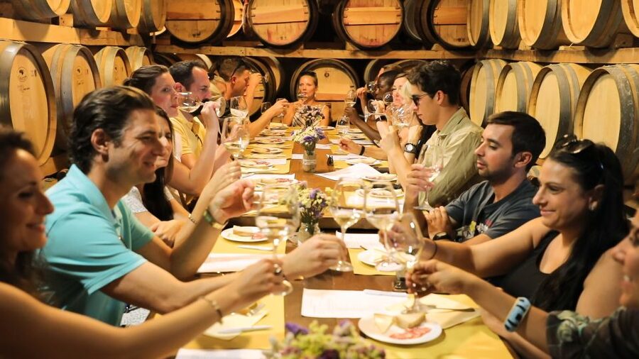 From Florence: Chianti Wine Tour with Tastings - Stop 1 in the Florentine Chianti Classico: Owner-Led Organic Intro
