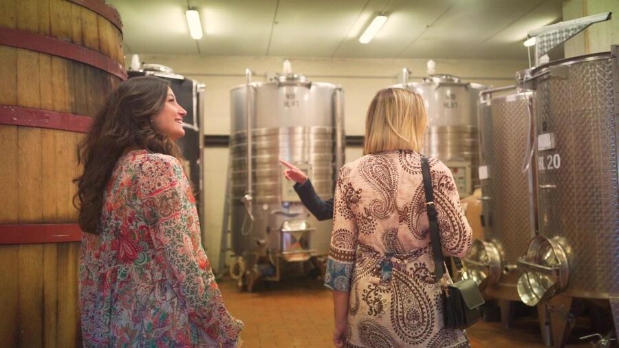 From Florence: Chianti Wine Tour with Tastings - Stop 2 in the Chianti Hills: Vineyard Walk, Cellars, Aroma Garden, and Four-Wine Tastings