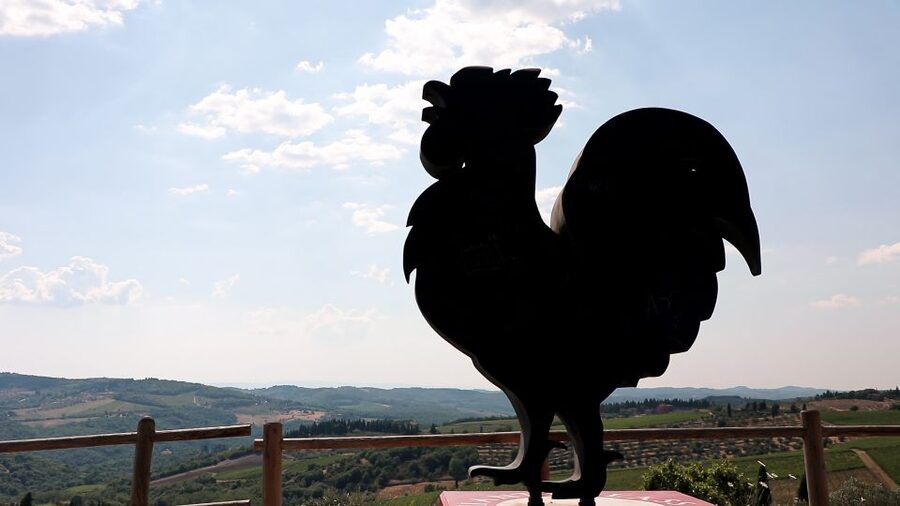 From Florence: Chianti Wine Tour with Tastings - What You’ll Actually Taste: Chianti Classico, Riserva, Supertuscan