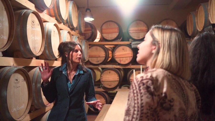 From Florence: Chianti Wine Tour with Tastings - Guides and Vibe: Humor, Facts, and Florence Tips Along the Way