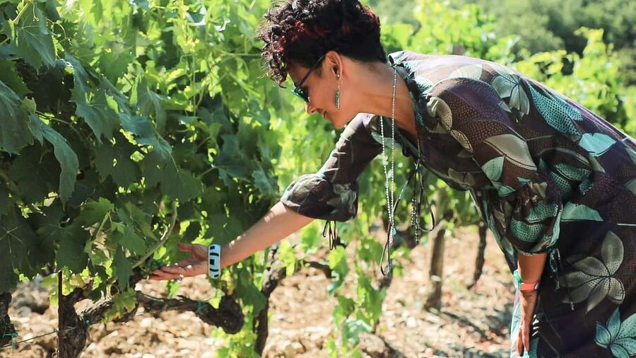 From Florence: Chianti Wine Tour with Tastings - Two Winery Stops, One Big Goal: Taste the Chianti Range