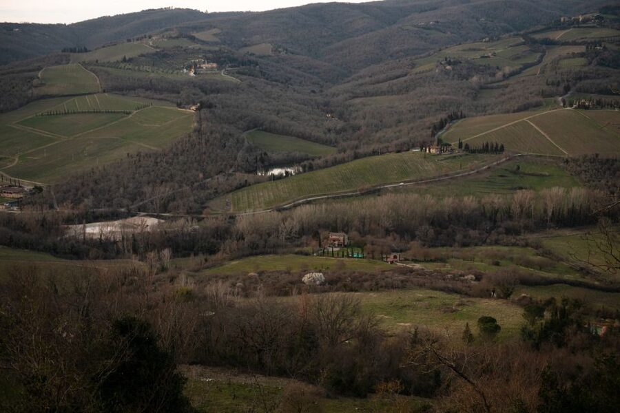 From Florence: Private Chianti Hills Tour with Tasting - Key highlights you’ll actually care about