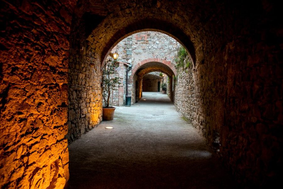 From Florence: Private Chianti Hills Tour with Tasting - Touring a Chianti hills winery, grapes to bottle explained